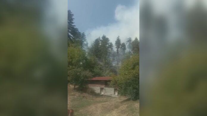 Priboj požar gori šuma